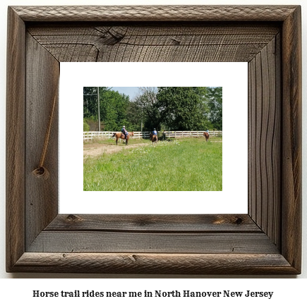 horse trail rides near me in North Hanover, New Jersey